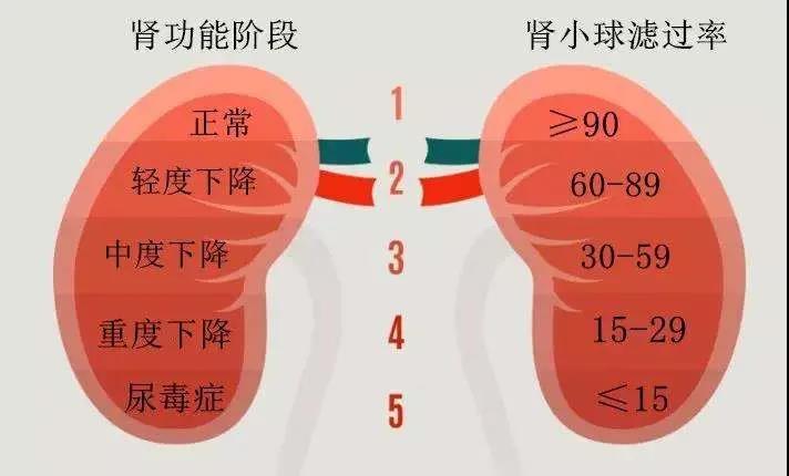 老年肾脏病,四川省泌尿外科医院