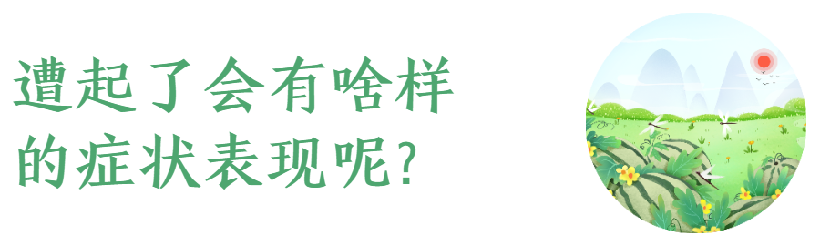 “热死了”真的有可能会热死！不信，你点进来看哇