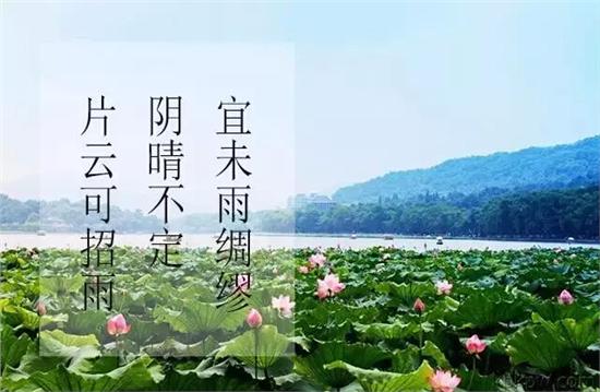 三伏时节，需要注意些什么