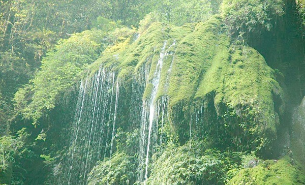 夏至梅雨，等待入伏