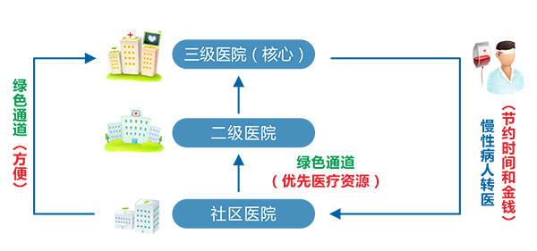 医联体简介