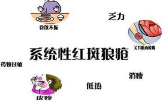 狼疮性肾炎治疗注意事项3点