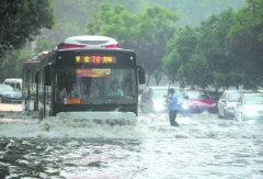 一半雨水   一半火焰    看专家如何拯救你那颗潮湿的心