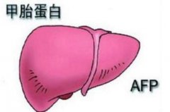 AFP与CEA的一二事