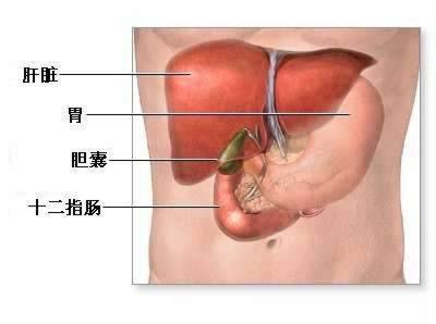 注意了！胆囊结石患者必须了解一下！