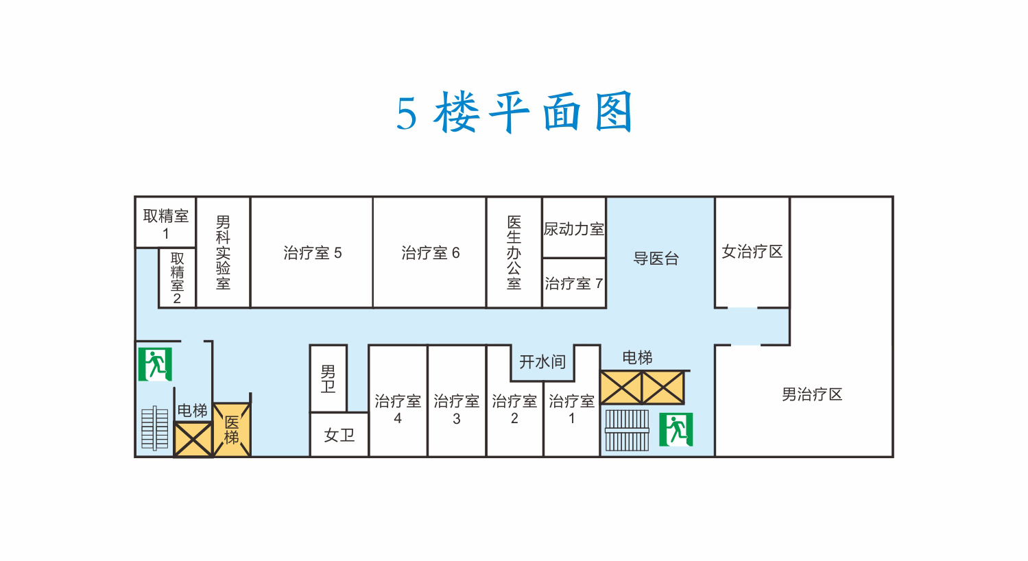 楼层平面图