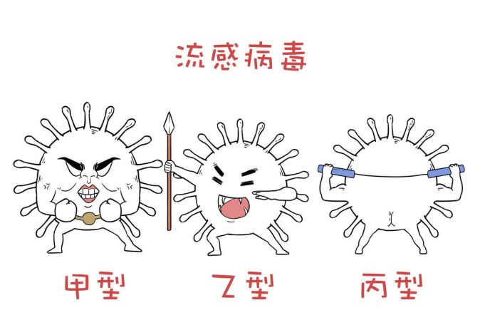 甲型/乙型流感病毒，你中招了没？