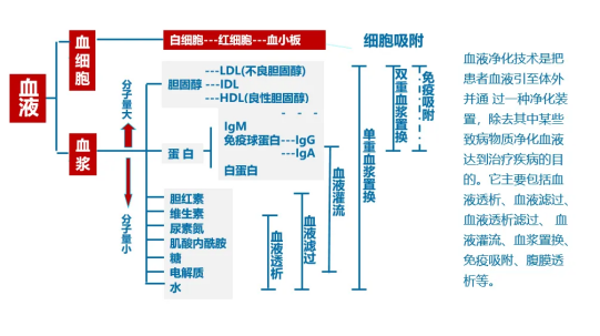 血液净化|把脏东西从血液中“洗”出来！一文带您全方位了解血液净化！